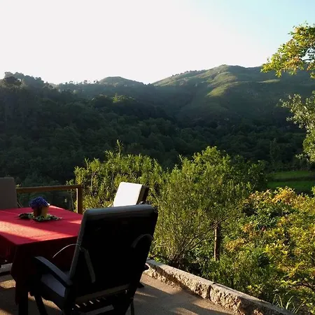 Campo Tamanqueiro