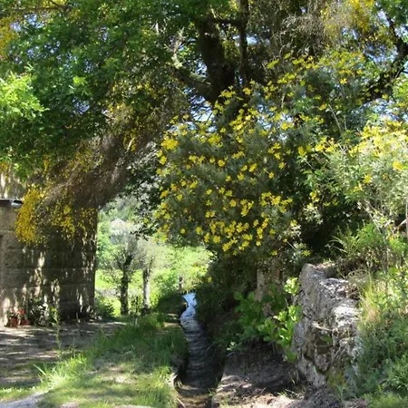 Campo Tamanqueiro Terras de Bouro