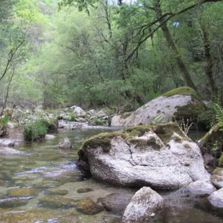 Σαλέ Campo Tamanqueiro