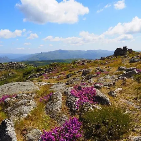 Campo Tamanqueiro Σαλέ Terras de Bouro