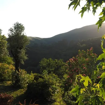 Campo Tamanqueiro Σαλέ *